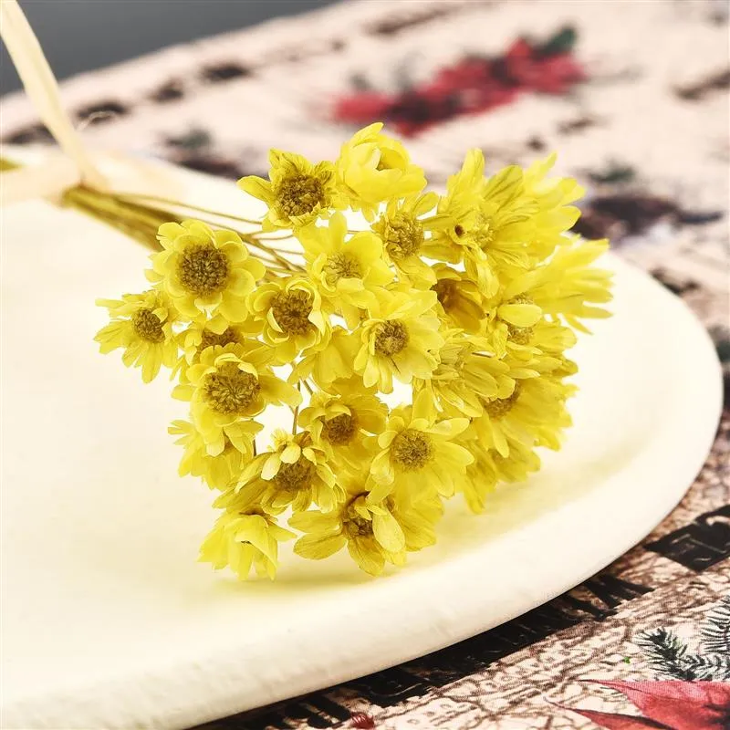 30Pcs Dried  Chrysanthemum Flower