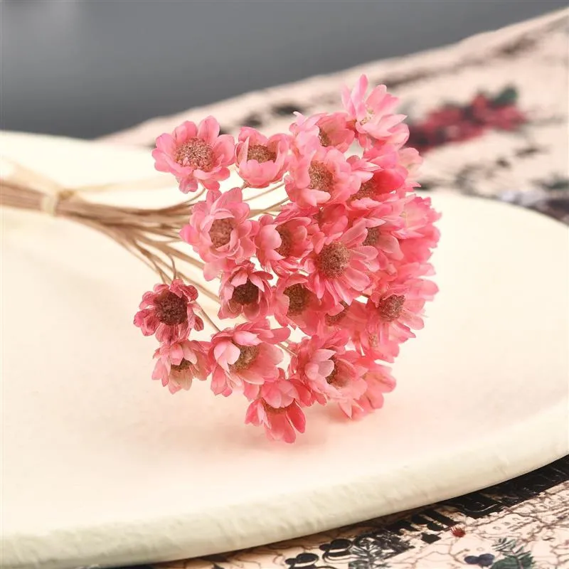 30Pcs Dried  Chrysanthemum Flower