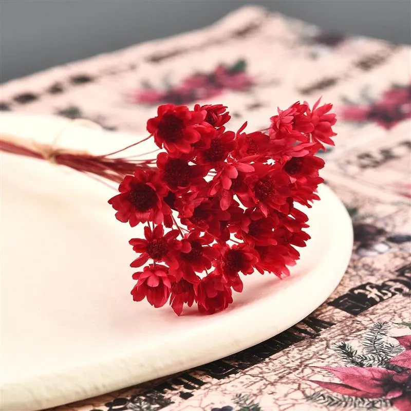 30Pcs Dried  Chrysanthemum Flower