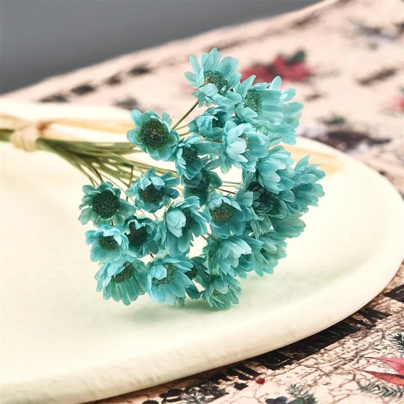 30Pcs Dried  Chrysanthemum Flower