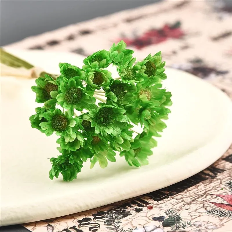 30Pcs Dried  Chrysanthemum Flower