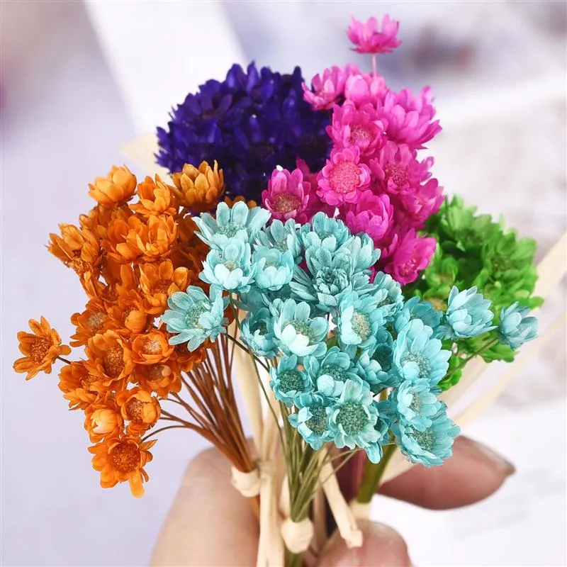 30Pcs Dried  Chrysanthemum Flower