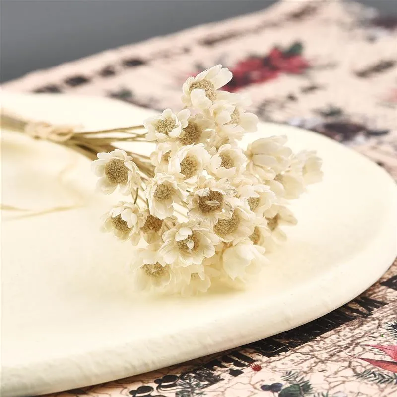 30Pcs Dried  Chrysanthemum Flower