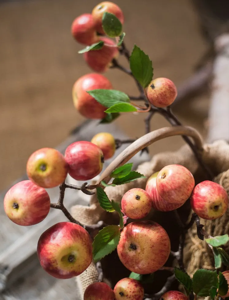 Apple Branch, Fruit Branch, Table Centerpiece, Beautiful Modern Flower Arrangement Ideas for Home Decoration, Autumn Artificial Floral for Dining Room