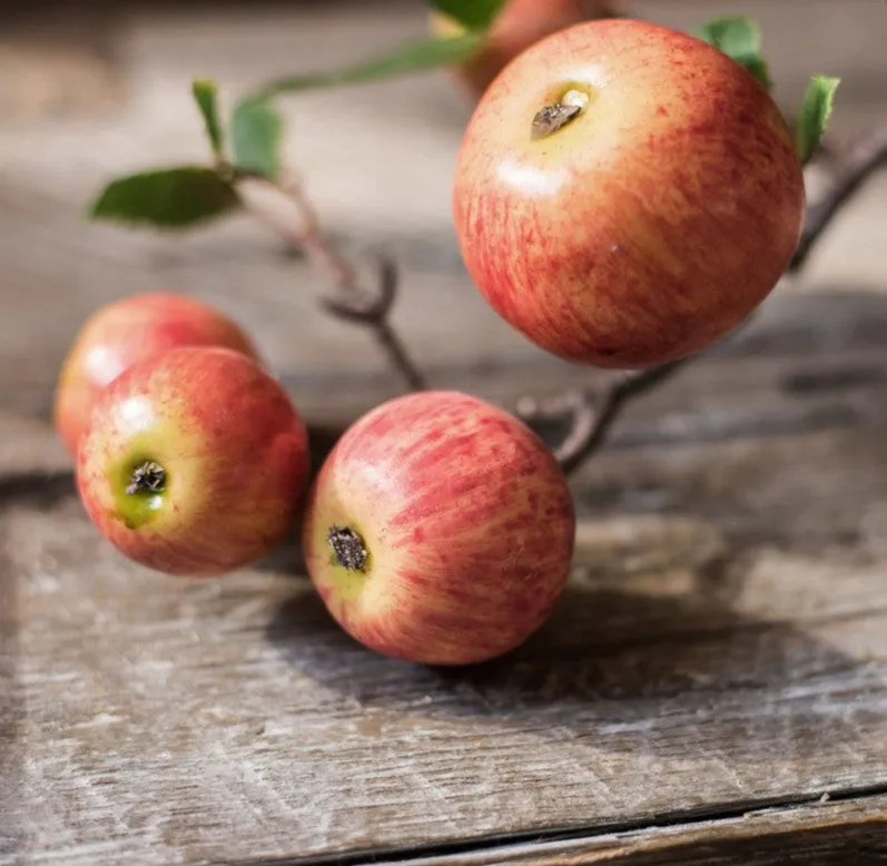 Apple Branch, Fruit Branch, Table Centerpiece, Beautiful Modern Flower Arrangement Ideas for Home Decoration, Autumn Artificial Floral for Dining Room