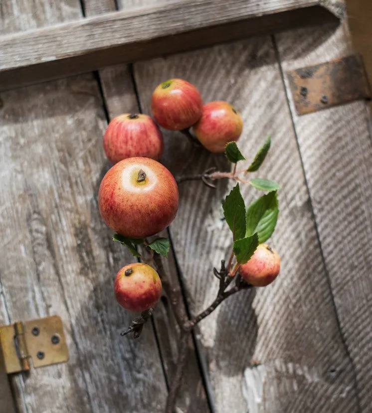 Apple Branch, Fruit Branch, Table Centerpiece, Beautiful Modern Flower Arrangement Ideas for Home Decoration, Autumn Artificial Floral for Dining Room