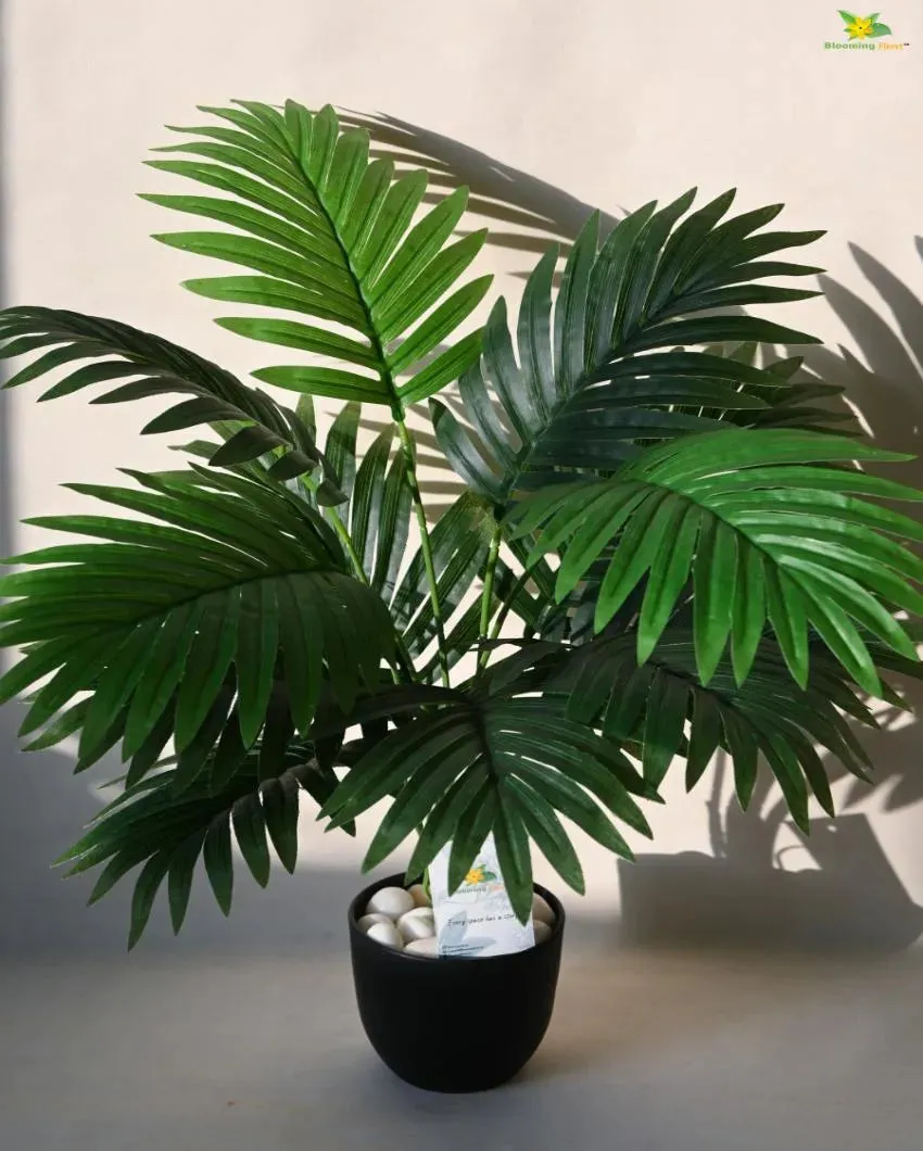 Areca Palm Artificial Plant with Pot | 12 Leaves | 2 feet