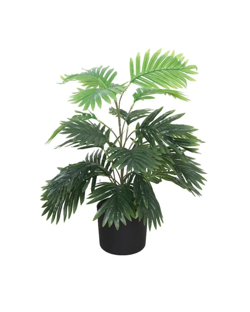 Arica Green Artificial Plant with Pot | 2.5 Feet