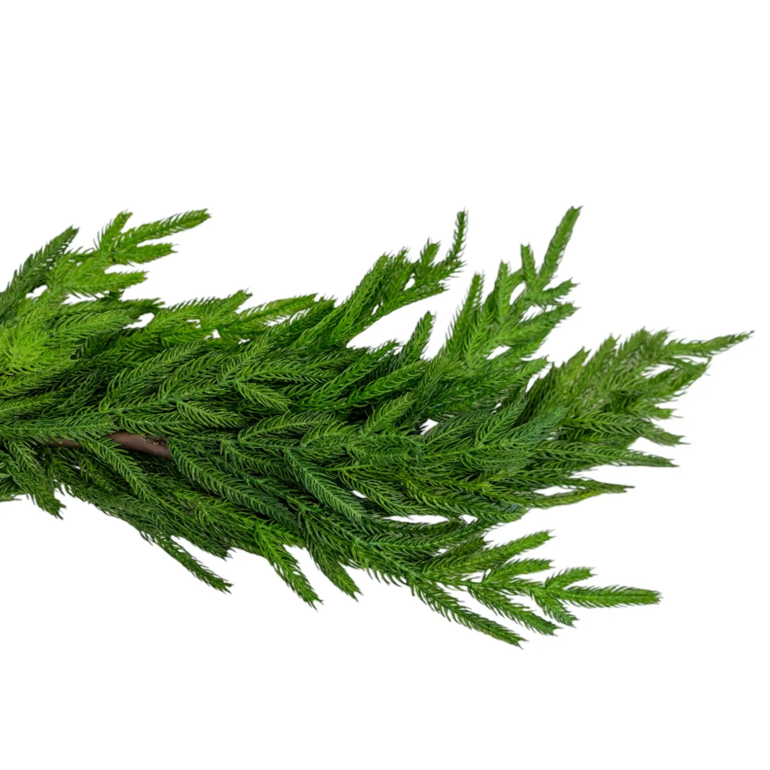 Artificial 52" Fresh Touch Norfolk Pine Garland