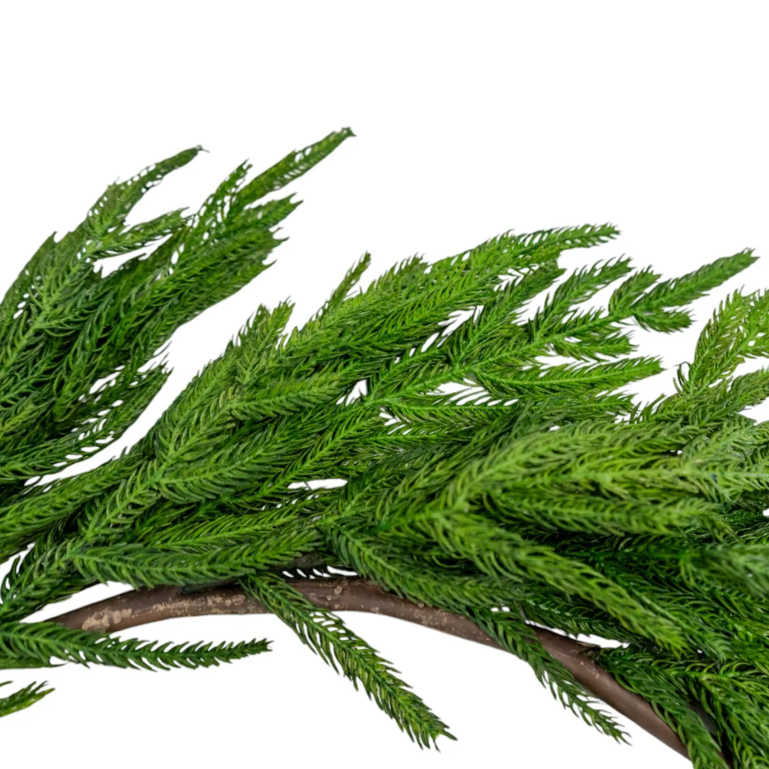 Artificial 52" Fresh Touch Norfolk Pine Garland