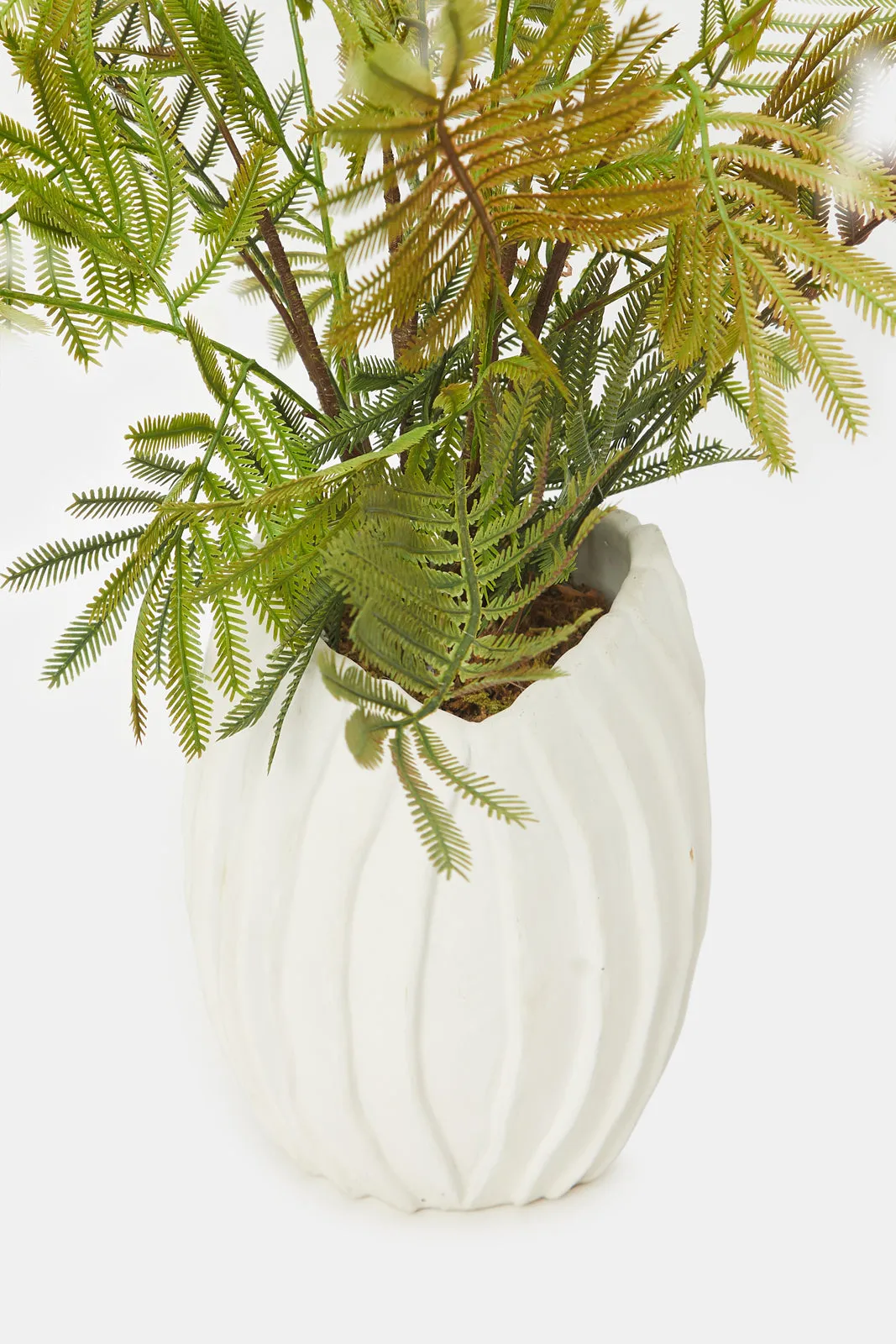 Artificial Cream Fern Plant In Cement Pot