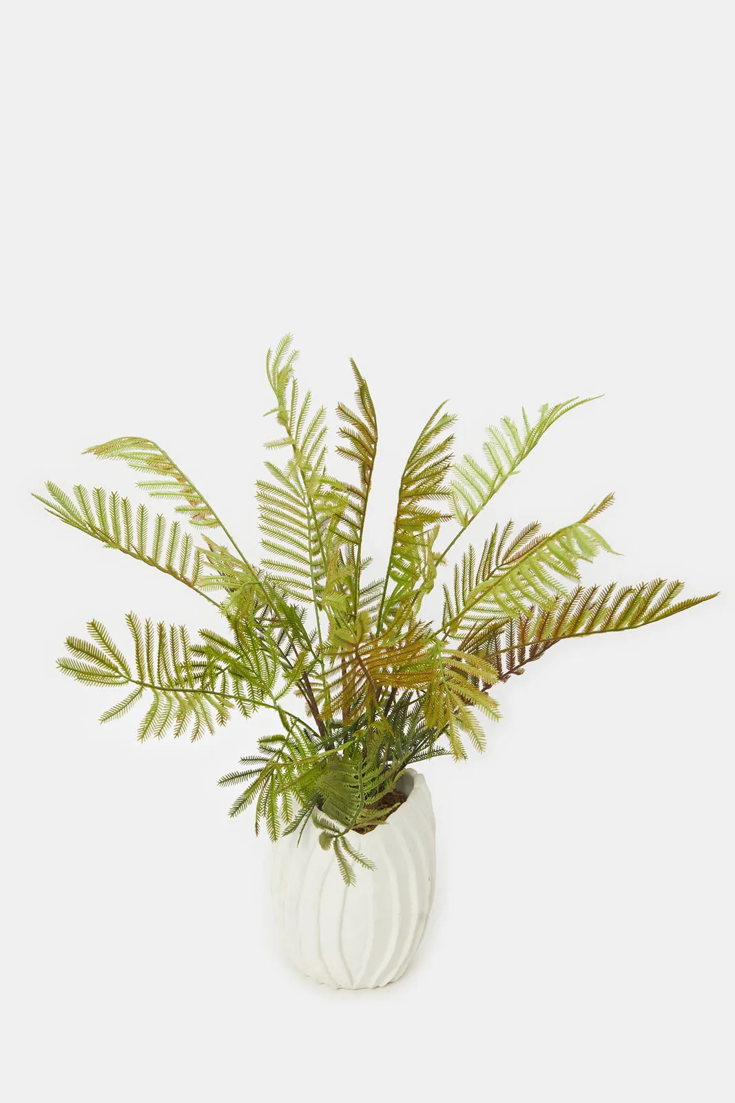 Artificial Cream Fern Plant In Cement Pot