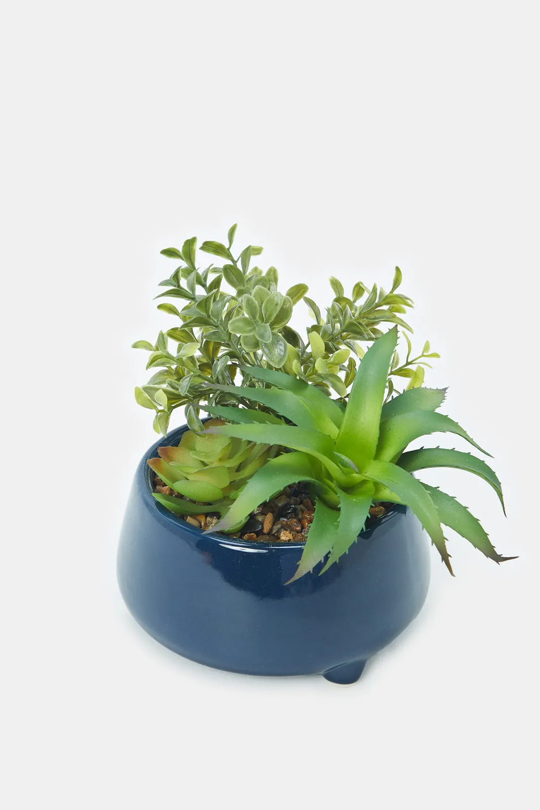 Artificial Succulent Plant With Ceramic Pot