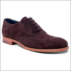 Barker Bladen - Bitta Choc Oxford Brogue--