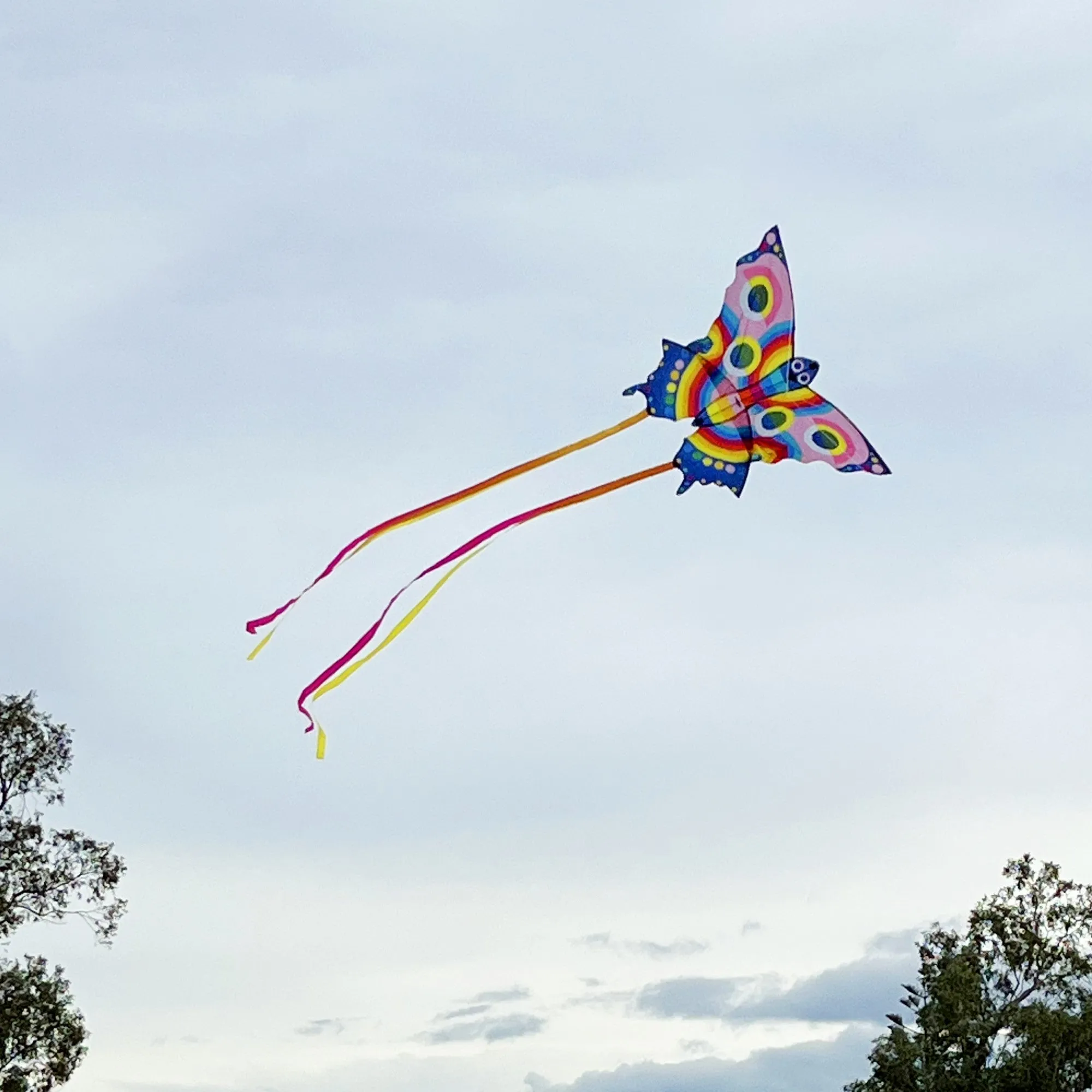 Butterfly Kite