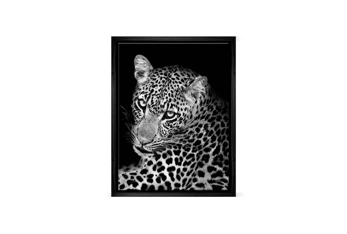 Cheetah Portrait | Animal Canvas Wall Art Print