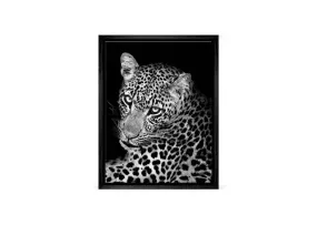 Cheetah Portrait | Animal Canvas Wall Art Print