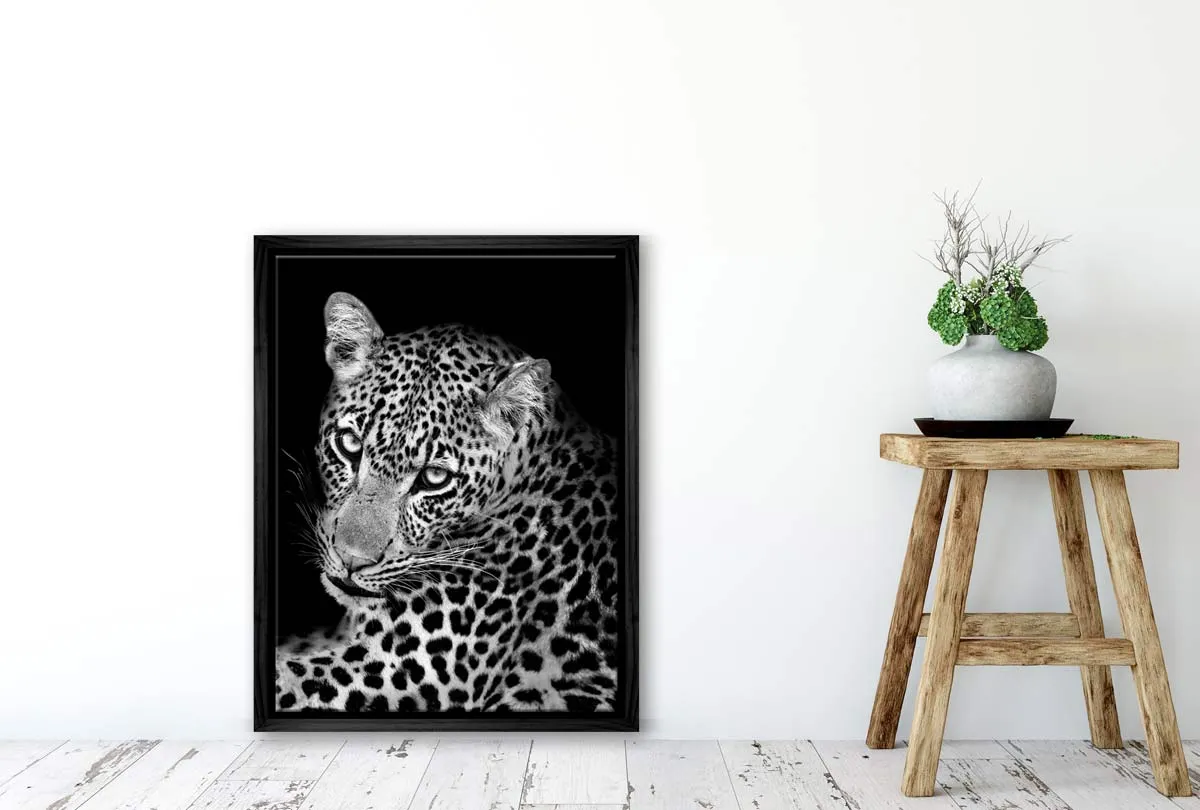 Cheetah Portrait | Animal Canvas Wall Art Print