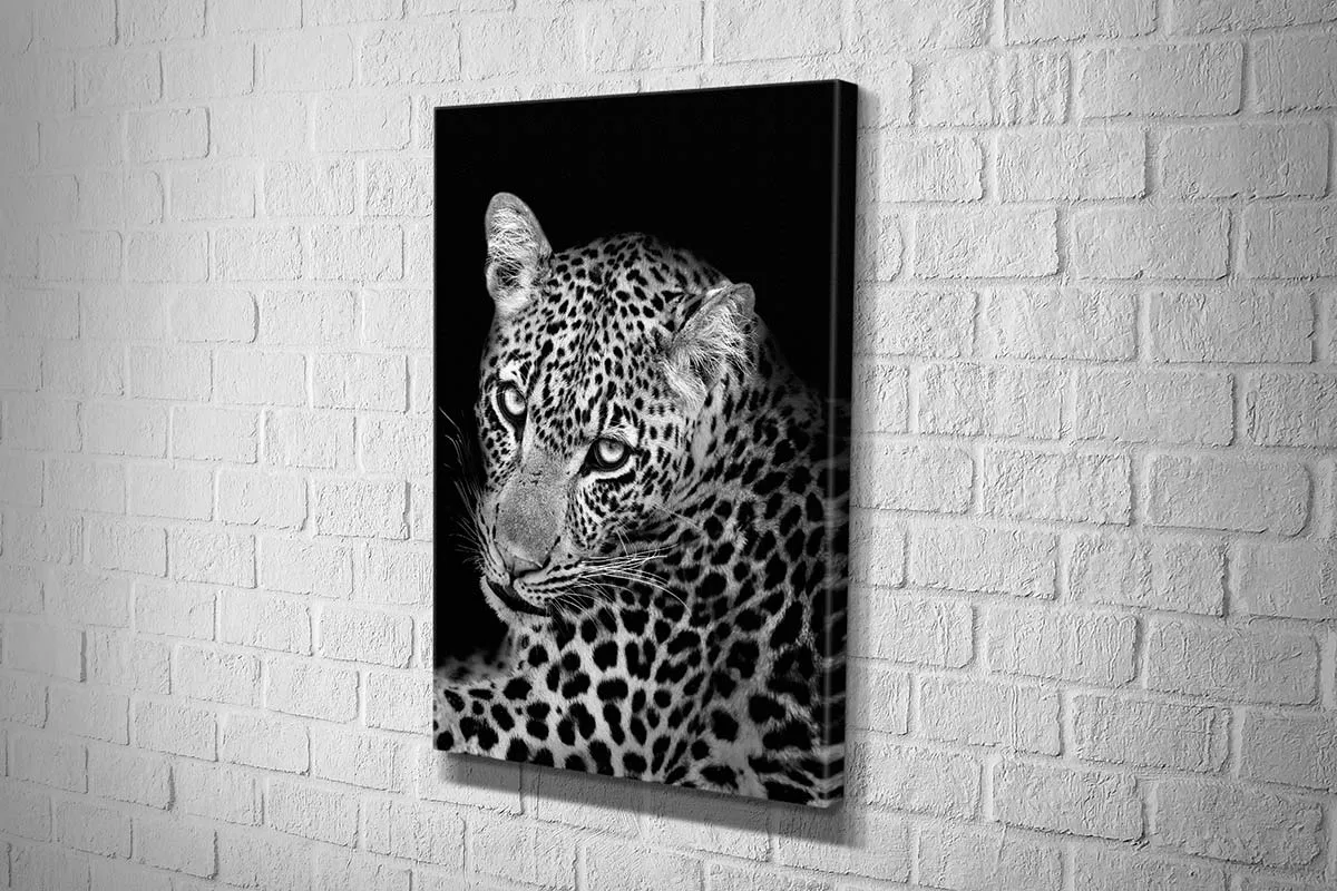 Cheetah Portrait | Animal Canvas Wall Art Print