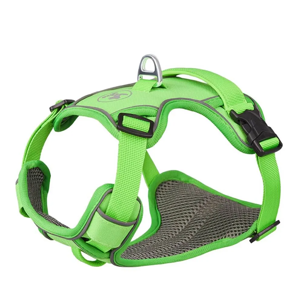 Contrast Color Explosion-Proof Dog Leash and Reflective Vest Harness