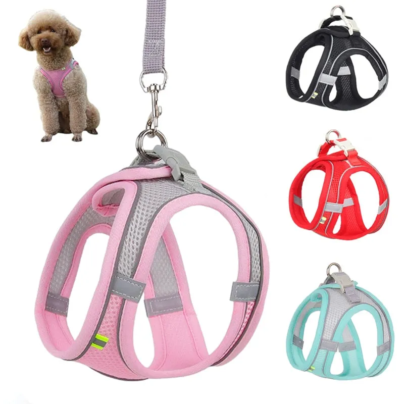 Dog Harness Leash Set for Small Dogs