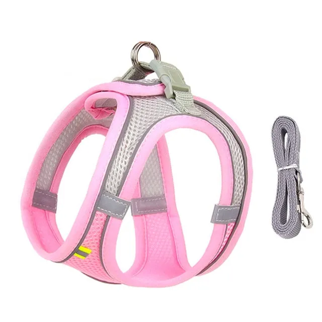 Dog Harness Leash Set for Small Dogs