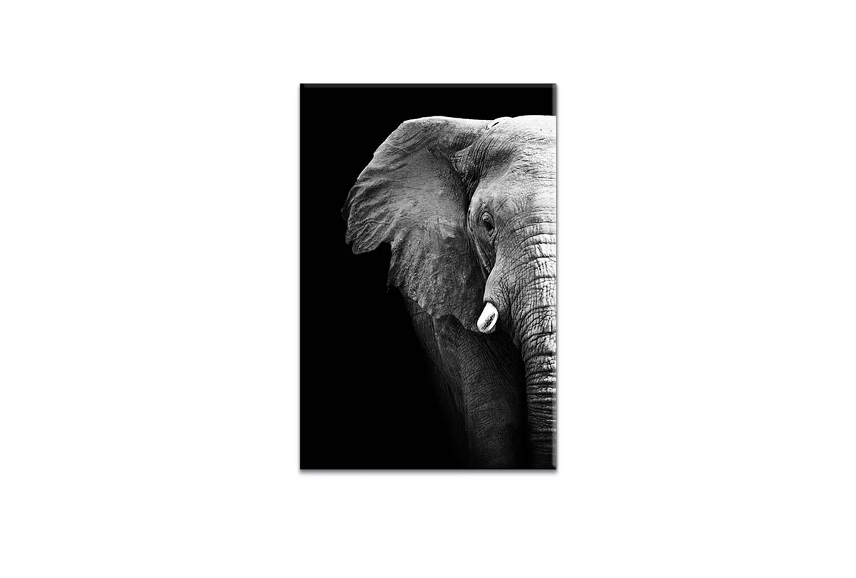 Elephant Close-Up | Animal Canvas Wall Art Print