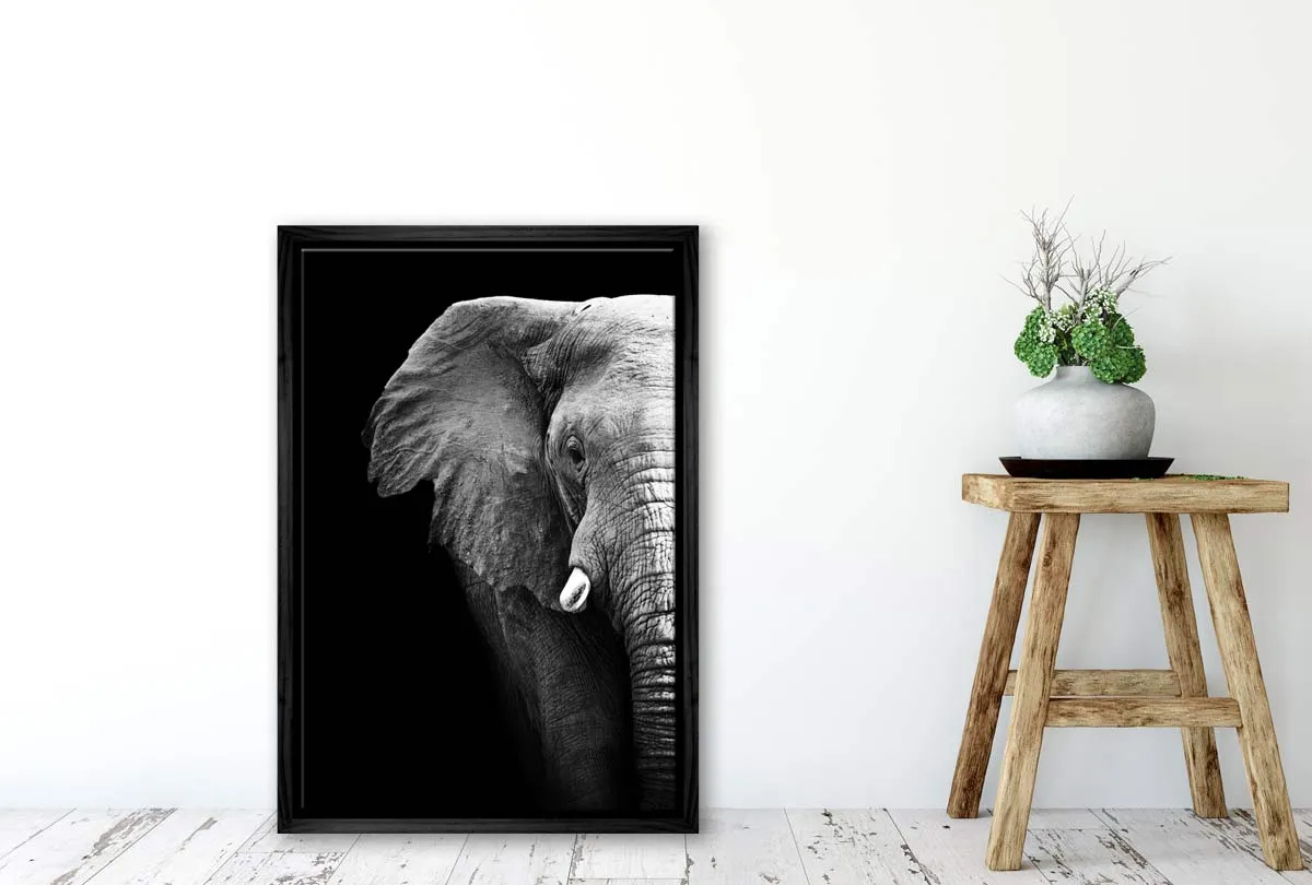 Elephant Close-Up | Animal Canvas Wall Art Print