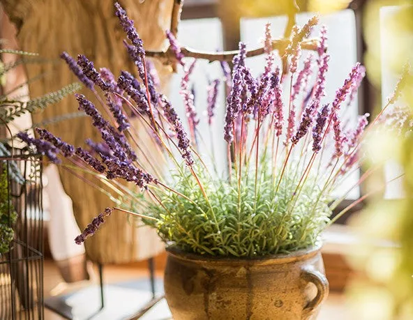 Lavender Flowers, Spring Artificial Floral for Dining Room, Bedroom Flower Arrangement Ideas, Simple Modern Floral Arrangement Ideas for Home Decoration