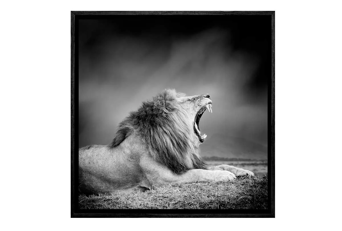 Lion Roar | Animal Canvas Wall Art Print