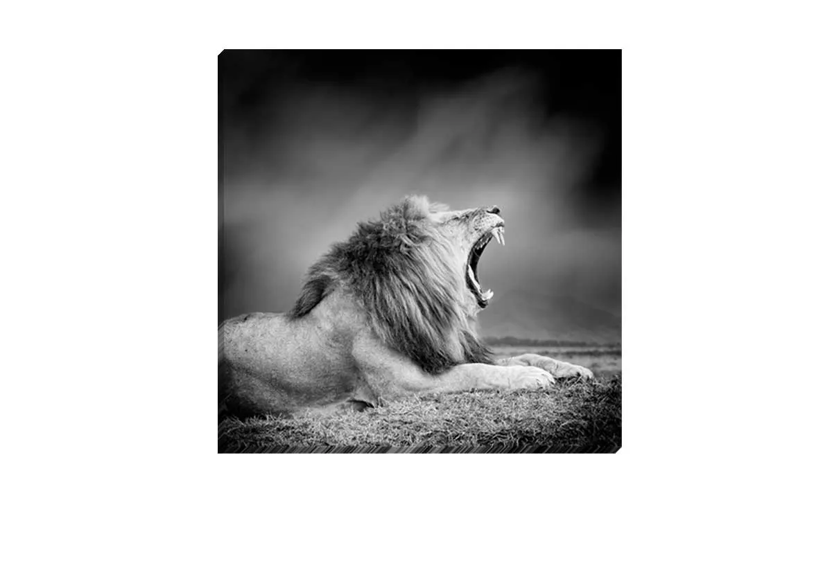 Lion Roar | Animal Canvas Wall Art Print