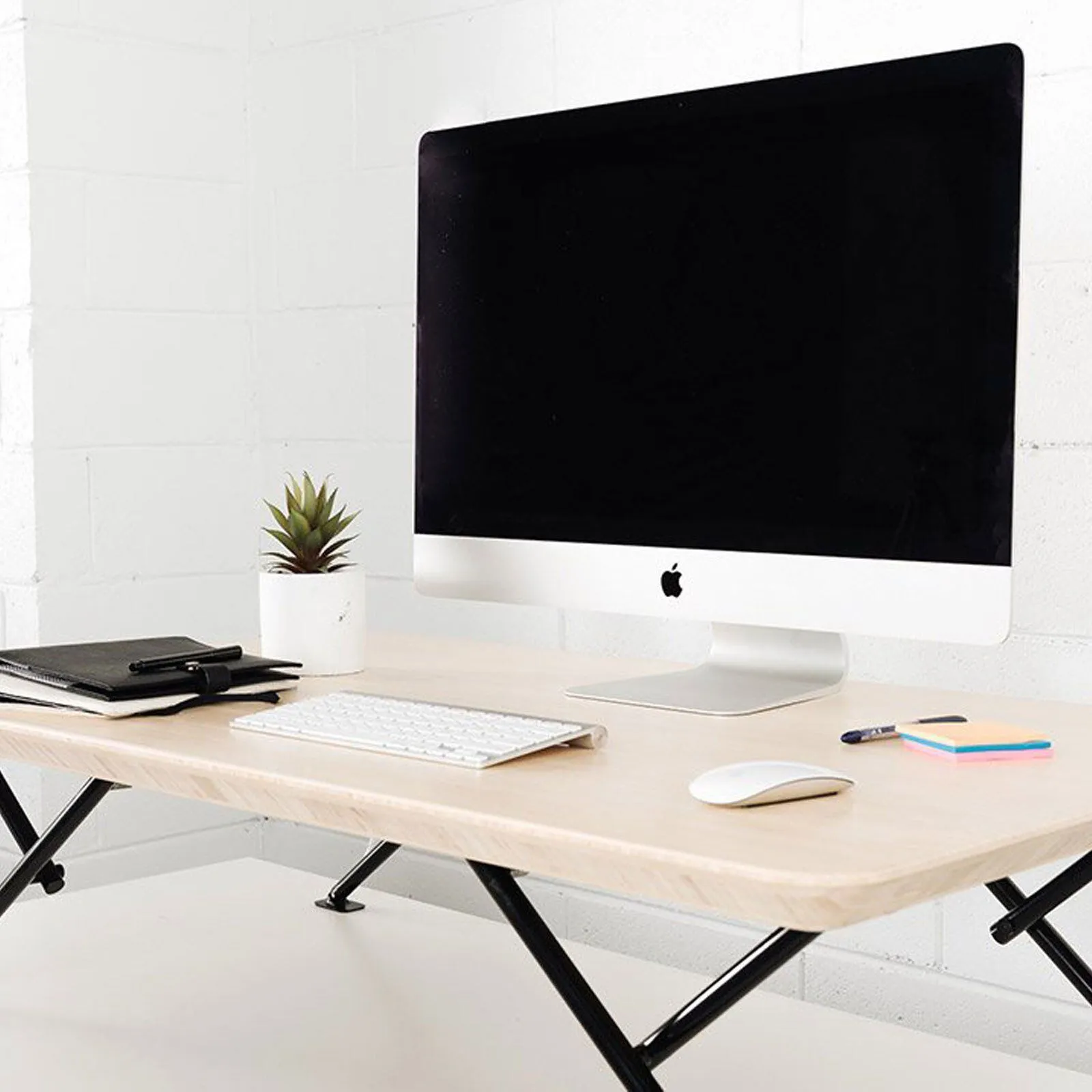 MOVI - Pro Standing Desk