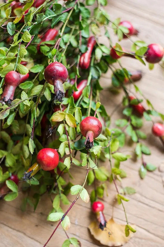 Pomegranate Branch, Beautiful Flower Arrangement Ideas for Home Decoration, Table Centerpiece, Artificial Fruit Plants, Spring Artificial Floral for Dining Room