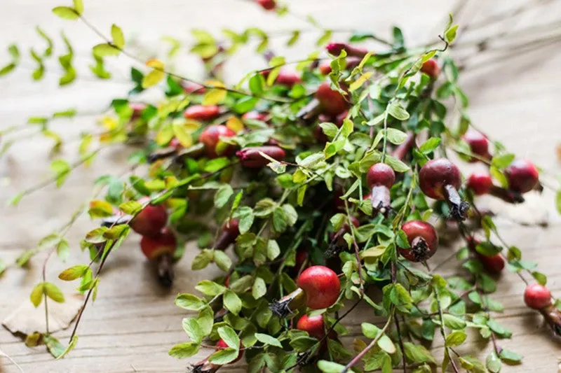 Pomegranate Branch, Beautiful Flower Arrangement Ideas for Home Decoration, Table Centerpiece, Artificial Fruit Plants, Spring Artificial Floral for Dining Room